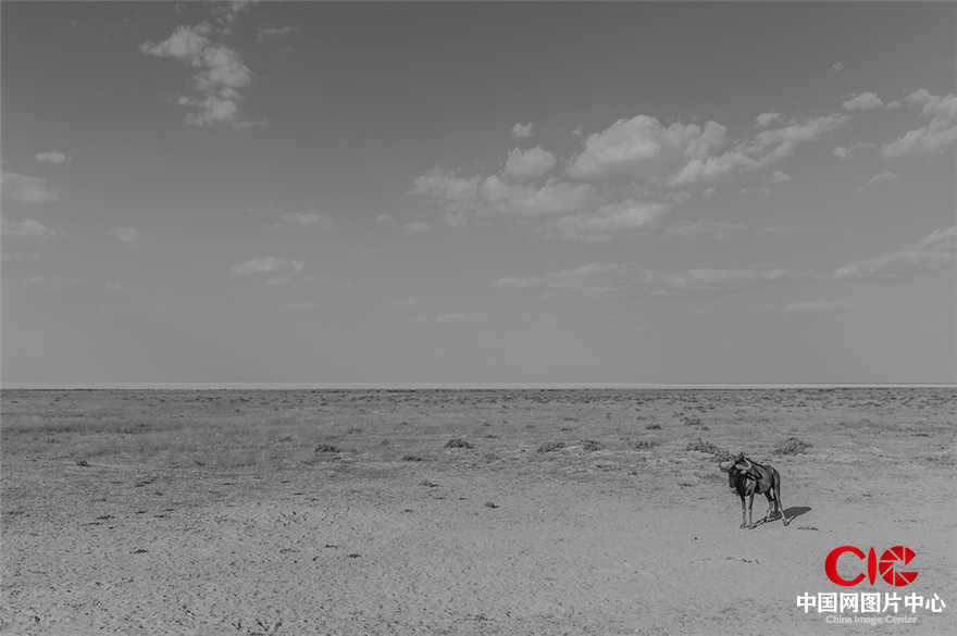 《生命的尽头》 摄于纳米比亚