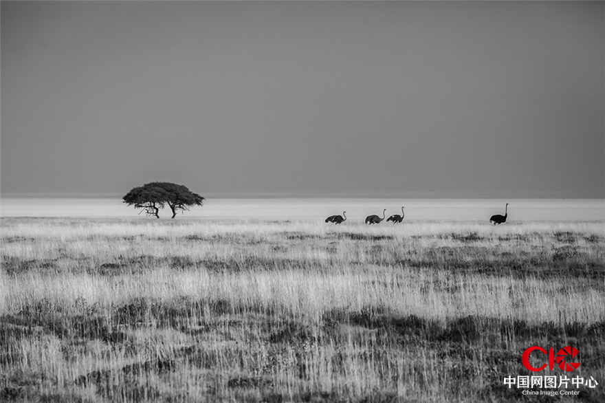 《家园》/摄于纳米比亚 不论多么遥远，那里可以找回质朴和安宁。
