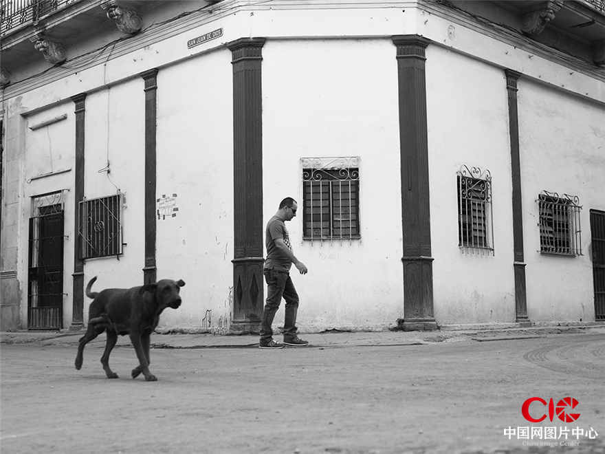 《邻居》/摄于古巴 民宿的街角如同儿时故乡的街角一样，每天走过熟悉的人和狗。