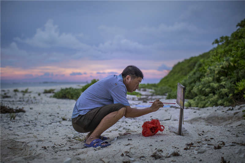 渔民符永波是海龟保护站的工作人员之一，每天他都会到海边巡逻，发现有新的产蛋痕迹，就会在一旁插上一块木牌，木牌上标注有产卵的编号和时间。