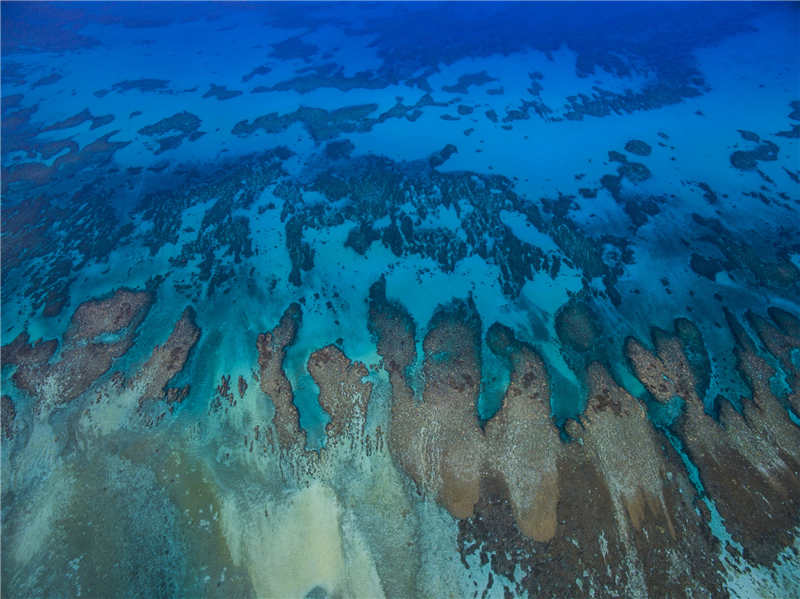 在保护岛礁生态的努力下，七色海水美不胜收。无论三沙人的生产、生活方式怎样转变，他们世世代代守护这片纯净海域的初心不会改变。