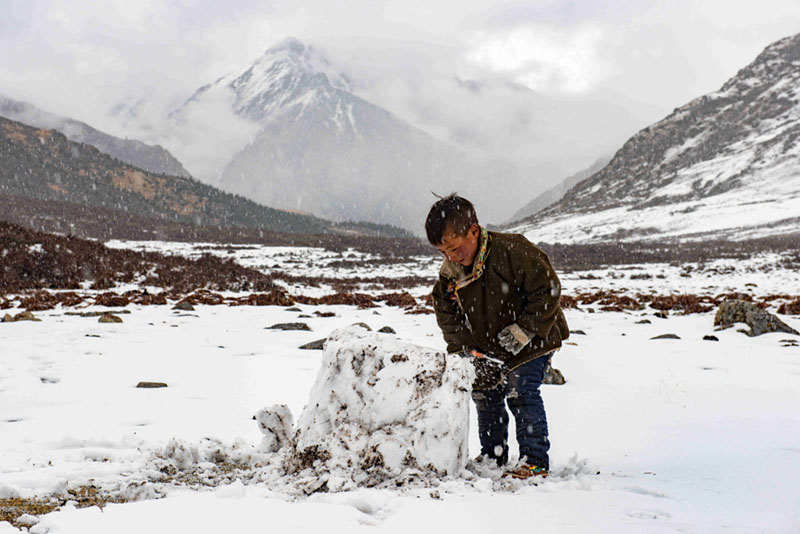 大雪过后一个孩子正在营地旁边玩雪。很多草民家庭会举家到深山里采集虫草，孩子留在家里无人照看，只能跟随大人进山，顺便还可以照看营地的帐篷，在营地周围找些虫草。