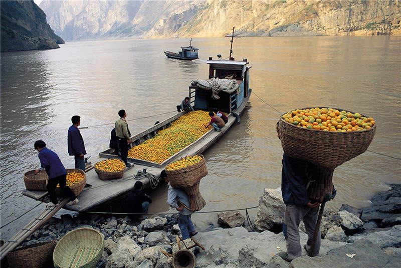 1991 湖北秭归 长江三峡，收运柑橘的码头 彩色