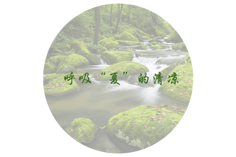 呼吸“夏”的清凉