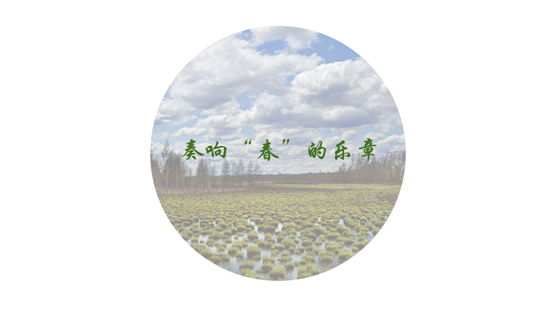 奏响“春”的乐章