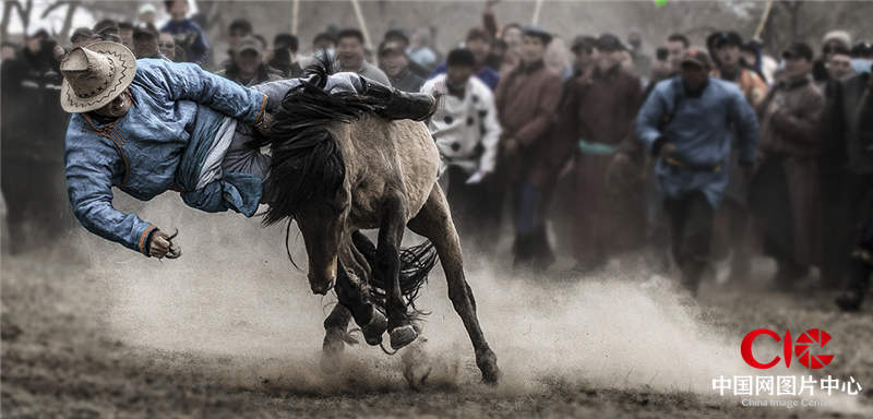 馴馬手  巴達日拉圖 攝