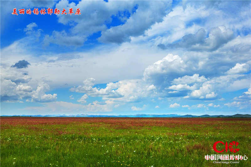美丽的锡林郭勒大草原  