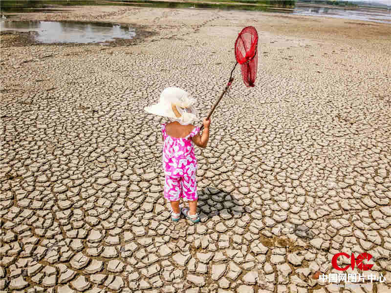 2015.6  石市四號水面。女孩兒拿著漁網在乾枯的河底尋找魚兒的蹤跡。