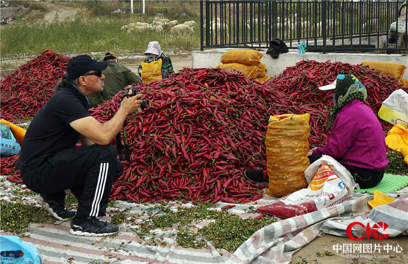 南非媒体摄影师Francisco在洮南金塔拍摄辣椒丰收。