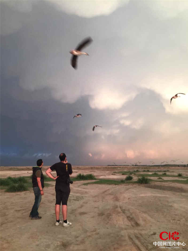 埃及媒体摄影师Hosam Farouk，和美国媒体摄影师Ramon fernandez在向海白城哈拉乌苏大雁放飞场。