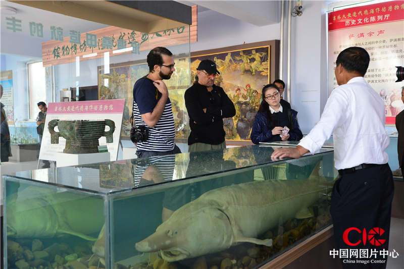 工作人员向中外媒体摄影采风团成员展示镇馆之宝，体重约170斤的大鳇鱼标本。